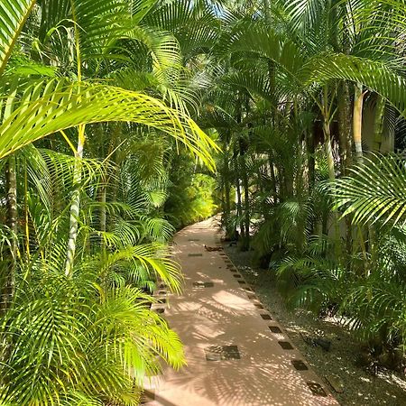 Chalet Tropical Au Coeur De ラス・テレナス エクステリア 写真