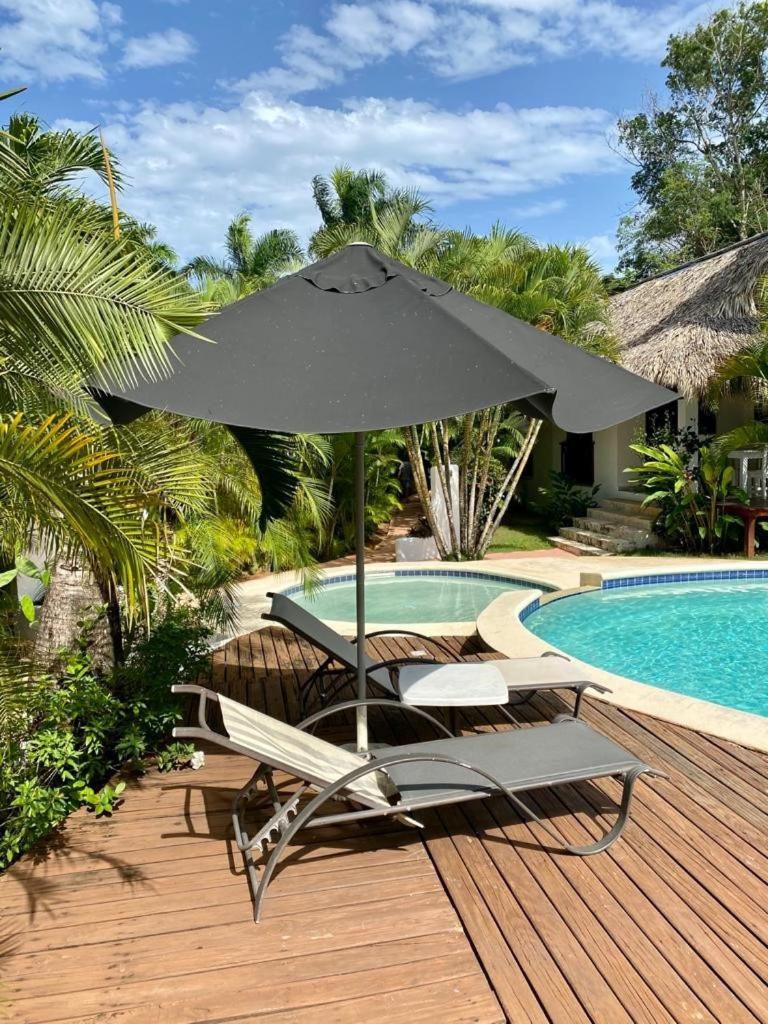 Chalet Tropical Au Coeur De ラス・テレナス エクステリア 写真